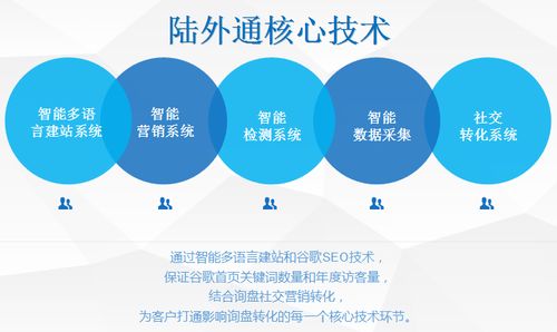外贸网络营销推广与建设 策略与实践